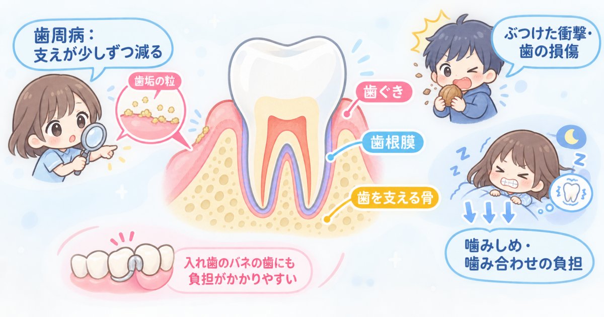 大人の歯が揺れる原因は？出血やきっかけから考える